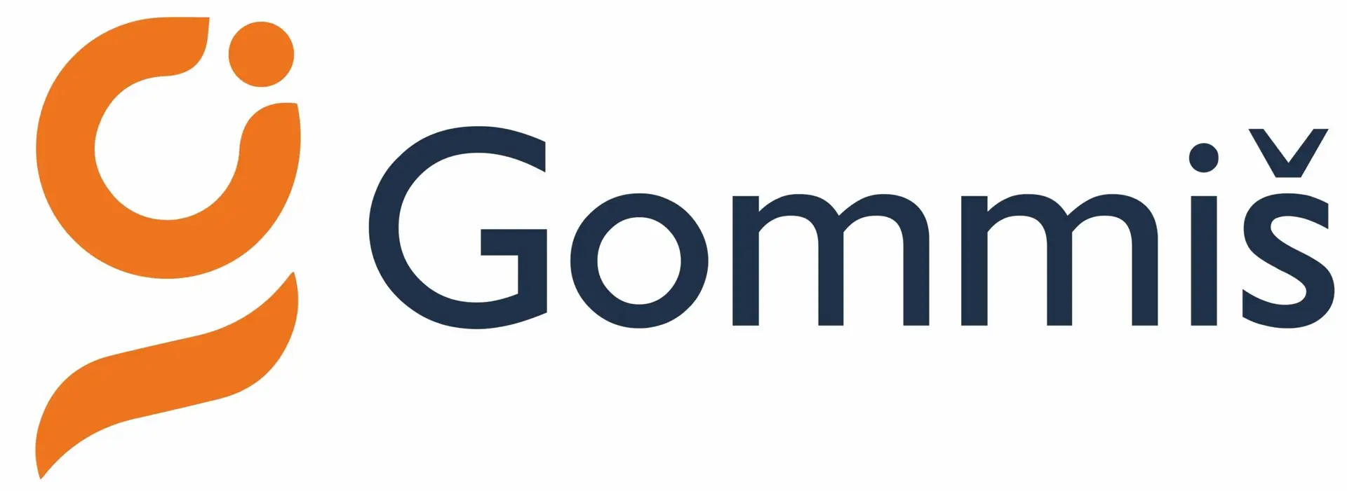 logo gommis 2023 1 jpg