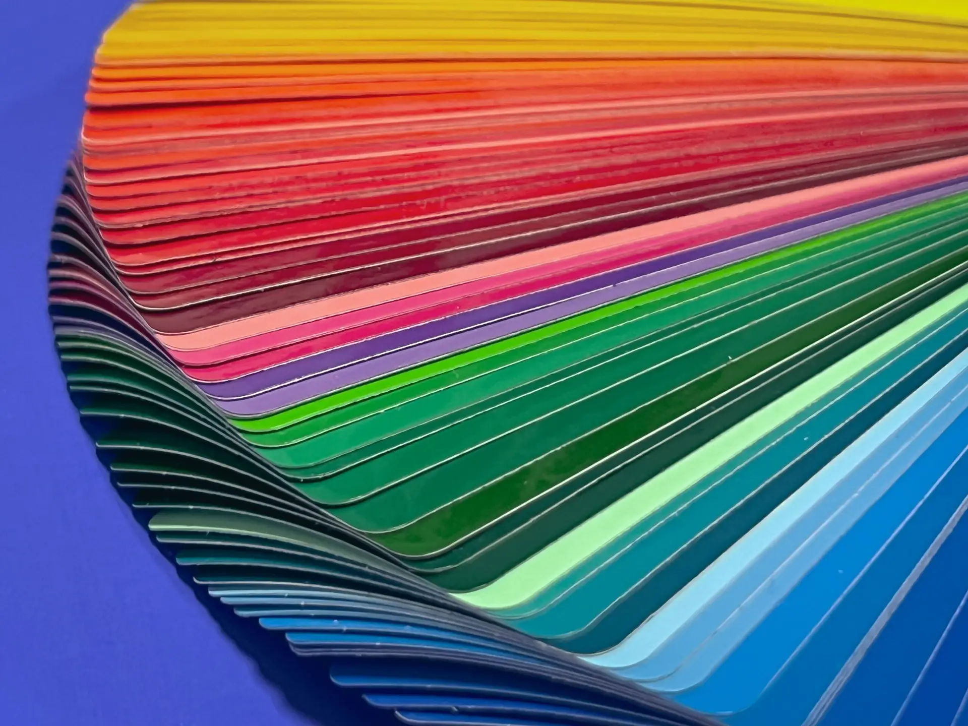 Close-up of vibrant color swatches arranged in a creative and artistic display.